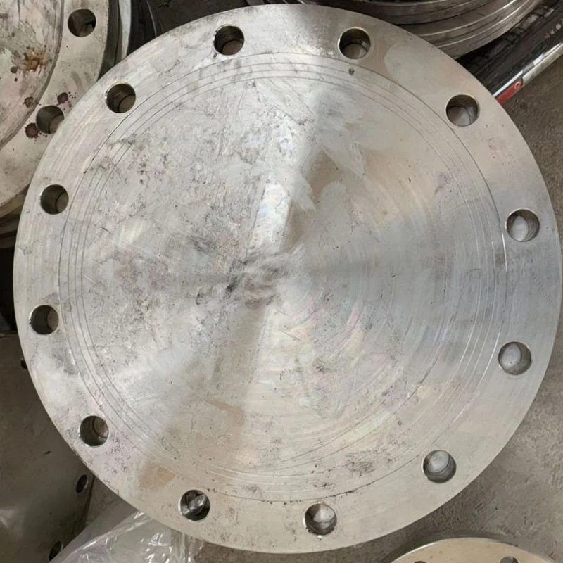 Deep hole tube plate flange