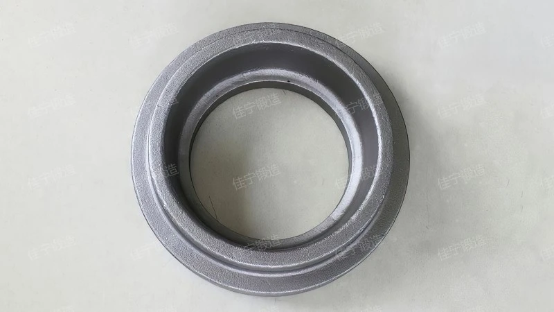 Cr12MoV ring forging
