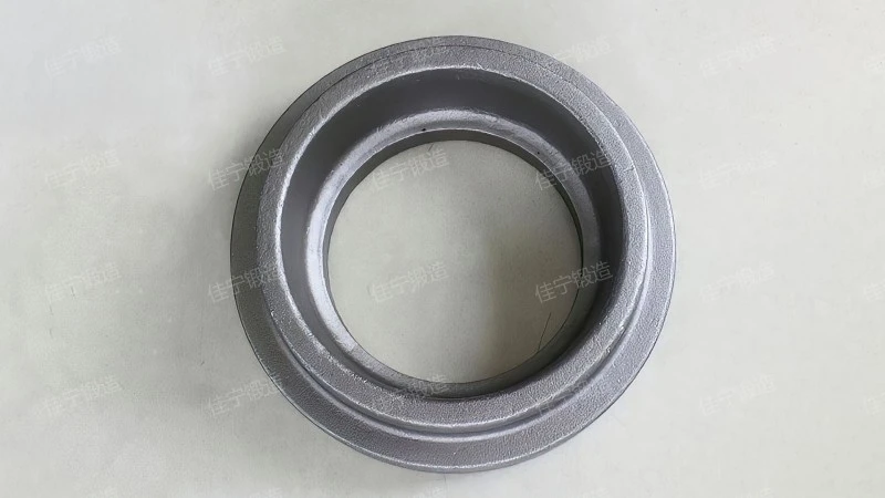 Cr12MoV ring forging