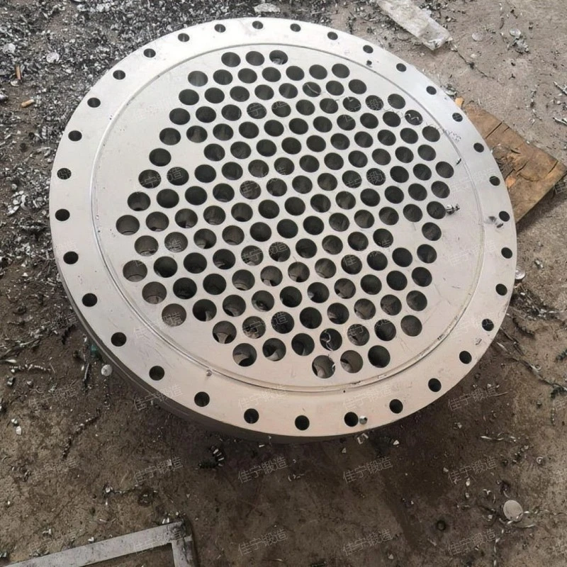 Blind flange of pressure vessel