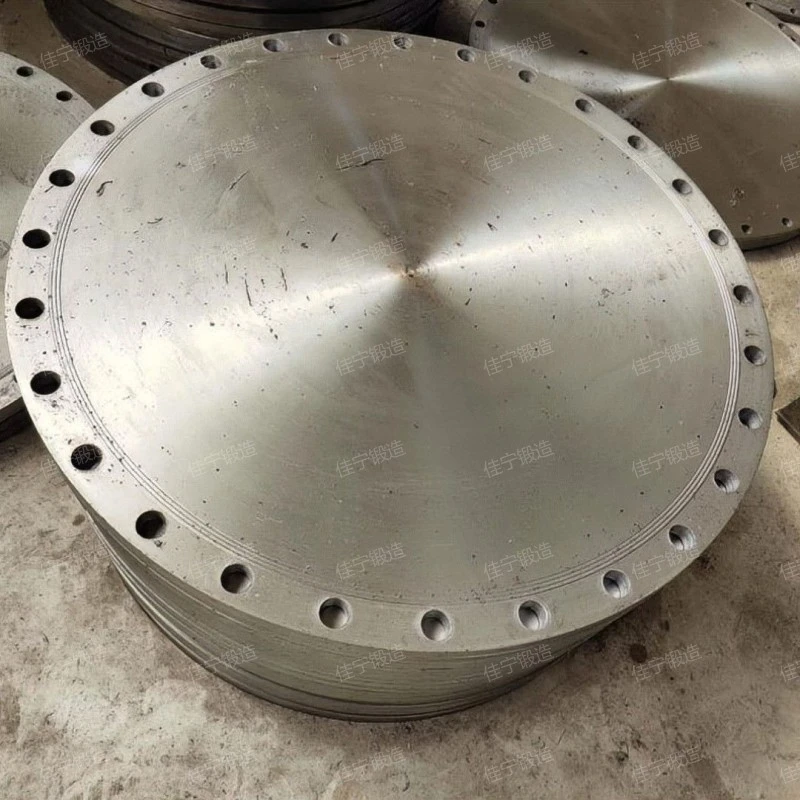 Blind flange of pressure vessel