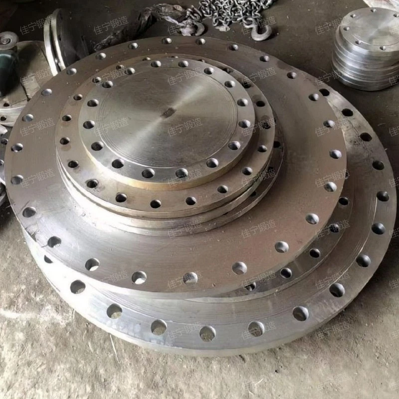 Valve body blind flange