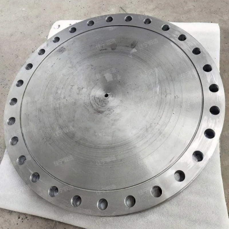 Blind flange of pressure vessel