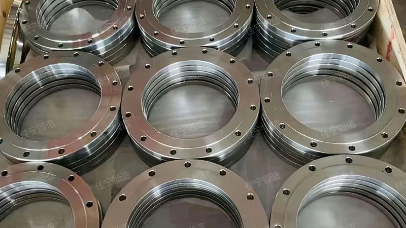 DN1600 flange