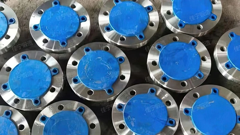 RF raised plate flat welding flange ring