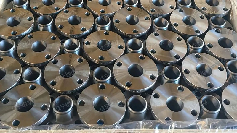 12 inch flange cover