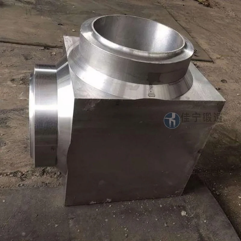 Valve Body Forgings