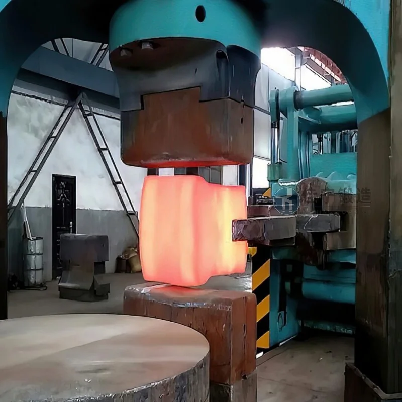 Ring Gear Forgings