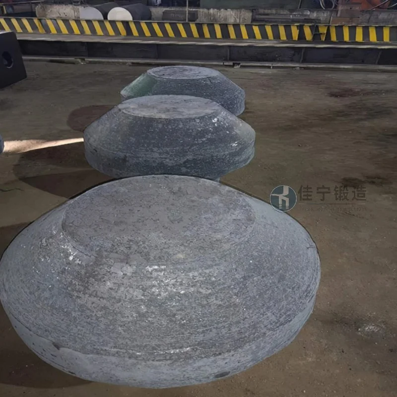 Oil Pipeline Forgings