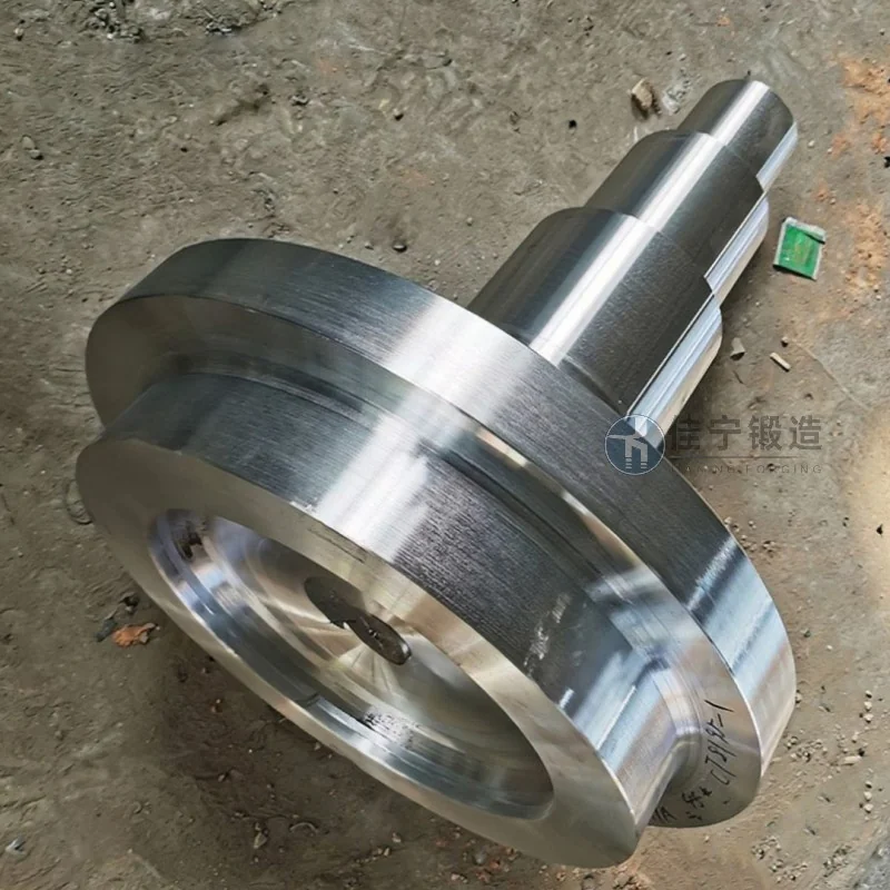 Flange Ring Forgings