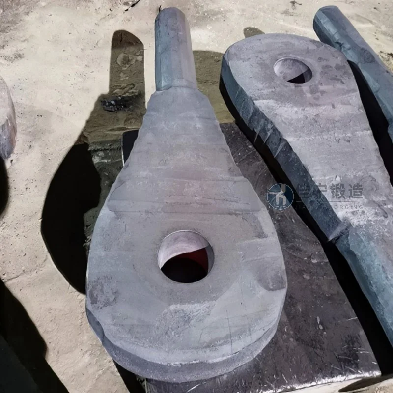 Wind Power Flange Ring