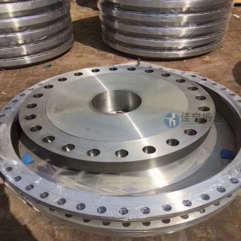 Large Diameter Flanges